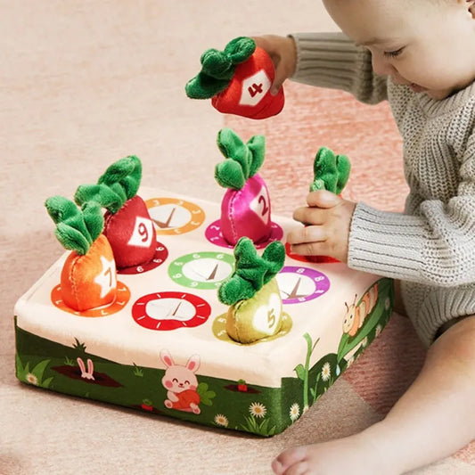 Baby Montessori Toy